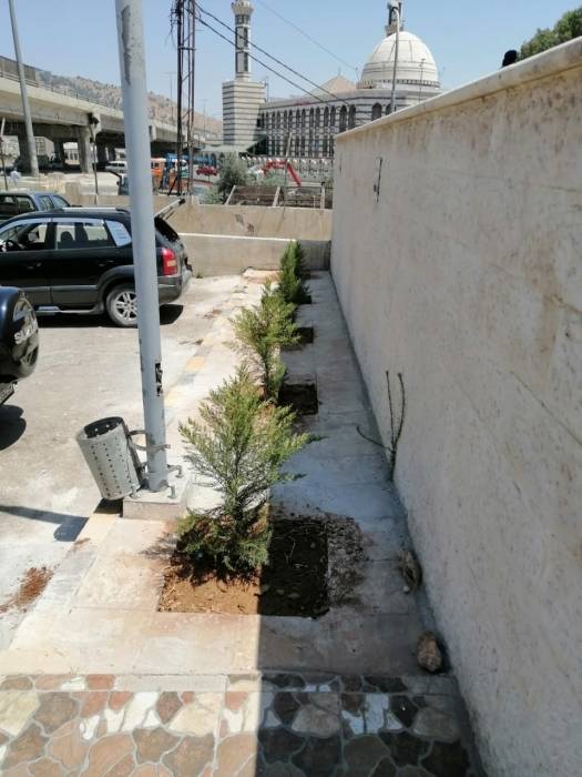 البحوث الزراعية والشرطة المجتمعية ينظمان مبادرة زراعة الأشجار