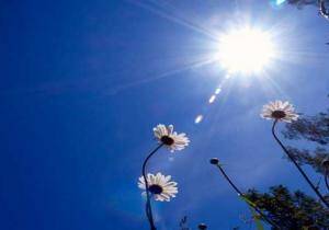 طقس حار في عموم المملكة والحرارة تلامس 40 في العقبة والاغوار