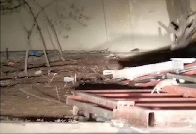 شاهد.. زريقات يعلق على فيديو انتشار القوارض في البشير