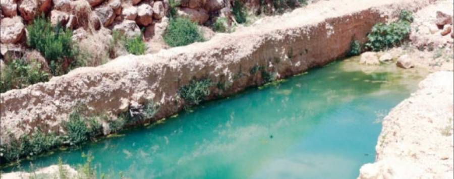 السلط : كارثة بيئية تهدد مياه الشرب جراء تجمع مياه الصرف الصحي