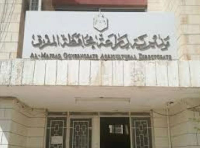 زراعة المفرق: خطة لحماية الغابات والأشجار الحرجية من الحرائق