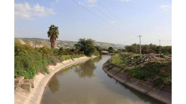 الدفاع المدني يبحث عن شاب في قناة الملك عبدالله