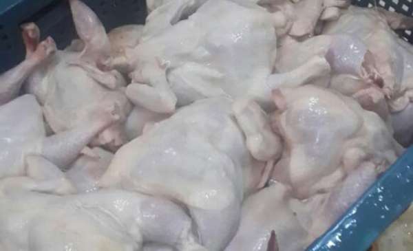 ضبط 100 كيلو دجاج غير صالحة للاستهلاك البشري بمول مشهور في اربد