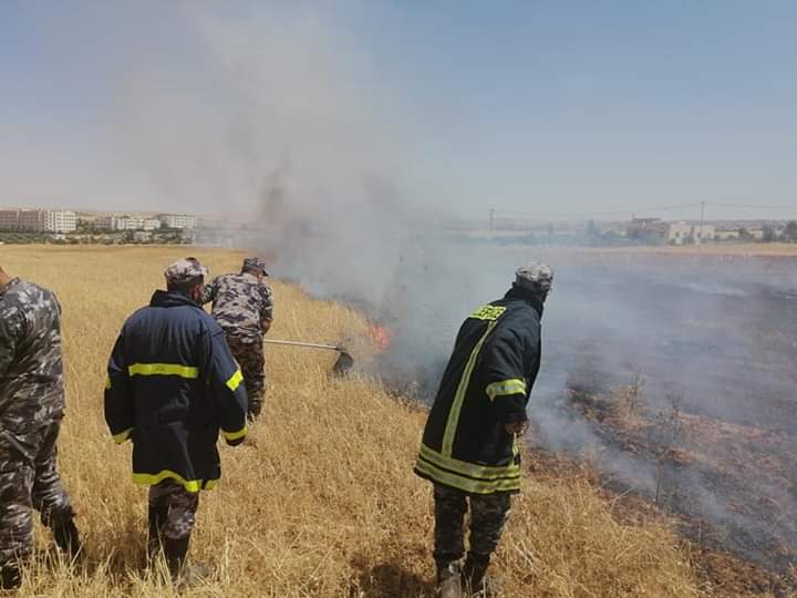 الدفاع المدني يخمد حريقين مختلفين من الأعشاب الجافة والمحاصيل الزراعية في محافظة إربد