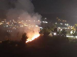 حريق في غابة قرب المجمع الرياضي والشبابي بعجلون