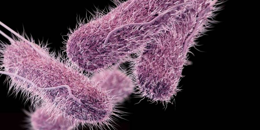 علماء يعيدون ميكروبات عمرها 100 مليون عام للحياة