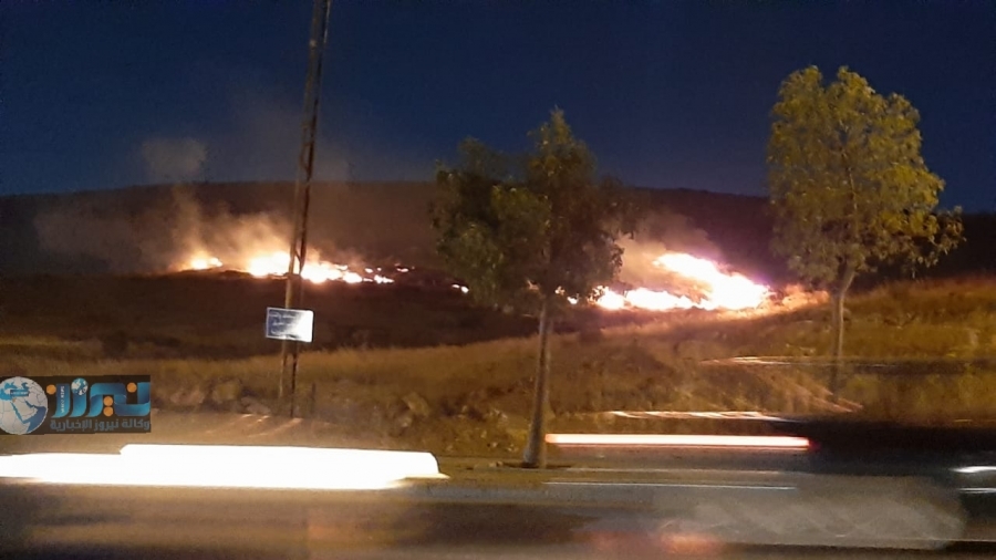 حريق  أعشاب جافة بجانب شارع  الاردن ....صور