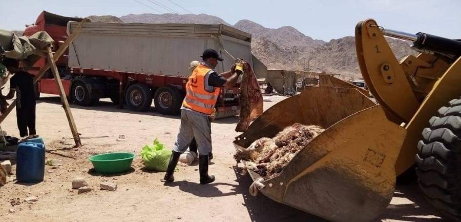 حملة لإزالة مخلفات الأضاحي في العقبة