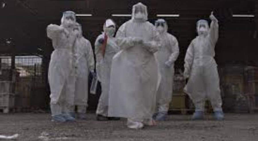 إصابات كورونا حول العالم تتجاوز (17.85) مليونا