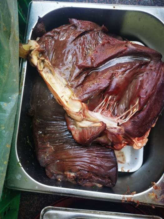 وزير الصحة: ضبط 5 اطنان من اللحوم منتهية الصلاحية