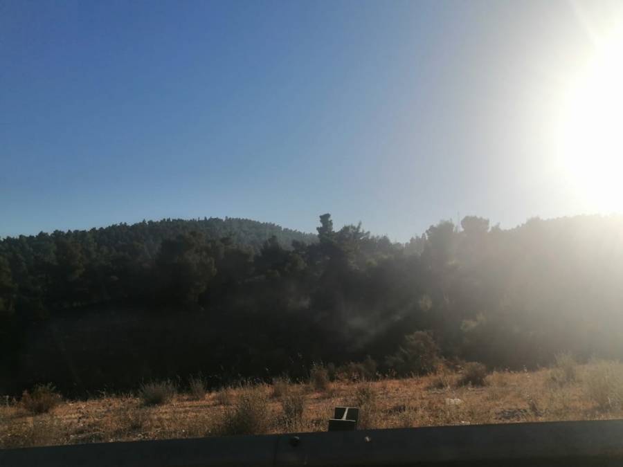 اخماد حريق في منطقة احراش ثغرة عصفور (صور)