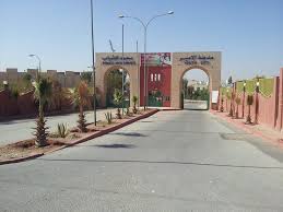 أمين وزارة الشباب يتفقد مدينة الأمير محمد