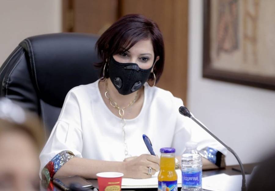 شويكة تبحث سبل دعم واستدامة مكاتب السفر والسياحة الوافدة