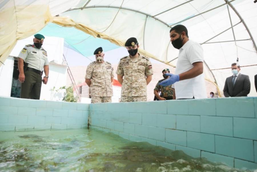 ولي العهد يتفقد مشروعاً إنتاجياً لتربية وتسمين الأسماك في لواء ذيبان (صور)