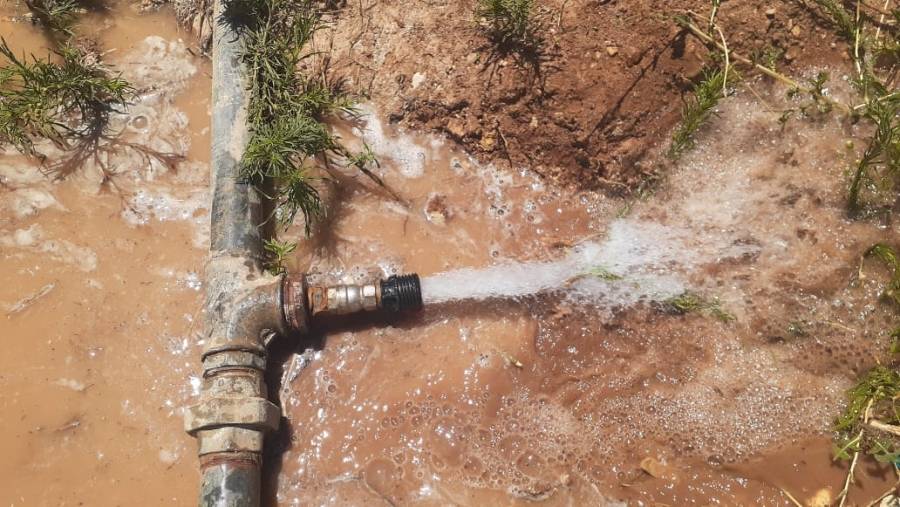 المياه : مجددا .. ضبط (3) مزارع  في عين الباشا تسرق كميات كبيرة من المياه