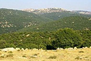 تفاصيل الحالة الجوية لثلاثـــة أيام قادمــــة