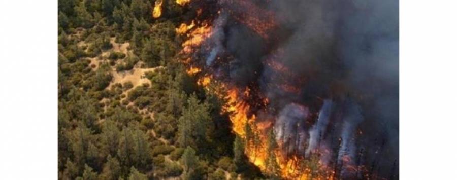 82 حريقا في الأردن خلال 24 ساعة