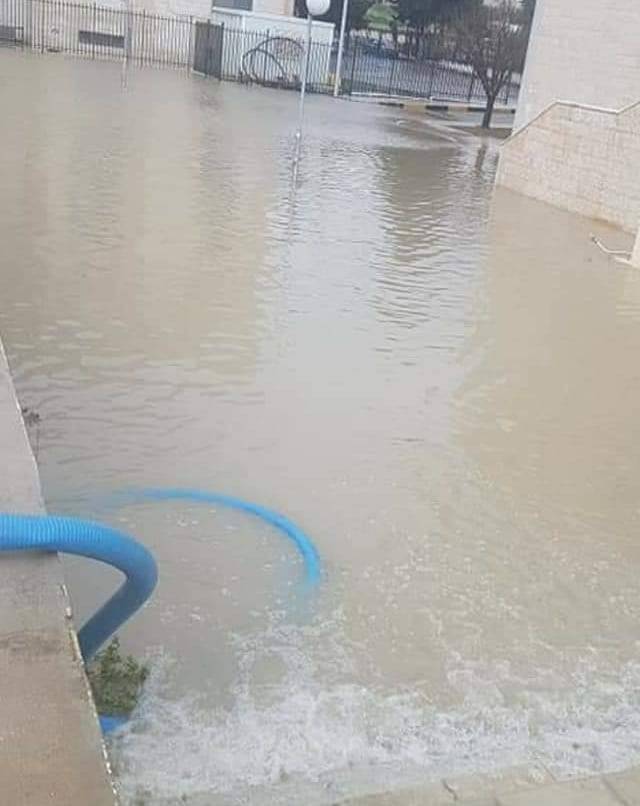 نهر الجامعة الاردنية !...صور