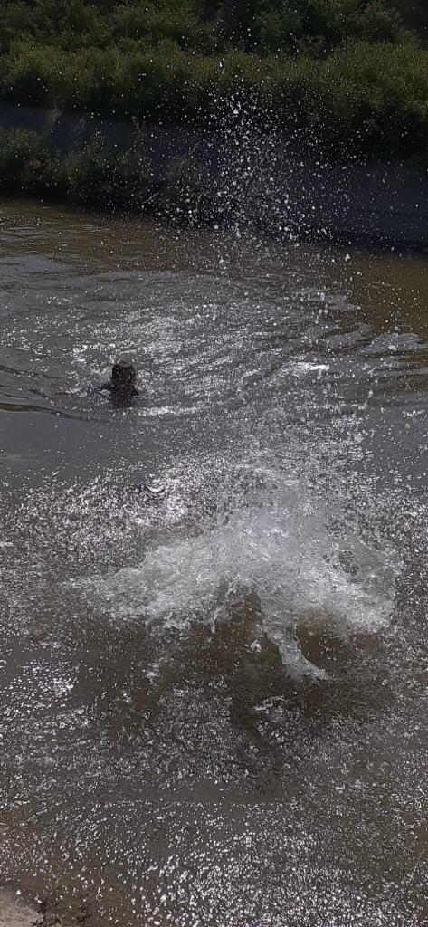 إنقاذ طفل من الغرق في قناة الملك عبداللة ...صور