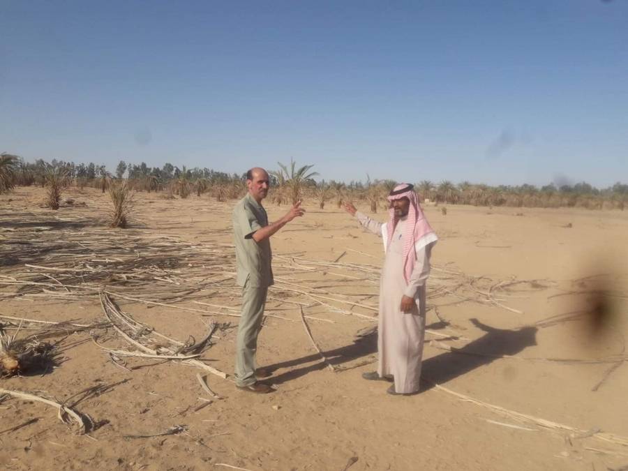 وزراة المياه والزراعة  تؤجر الأراضي الزراعية في المدورة  للضمان الاجتماعي وتستثني المواطنين الذين يناشدون الديوان التدخل.