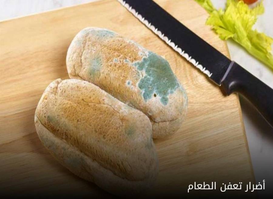 إذا أصاب العفن جزءًا من الطعام هل يمكن رميه وتناول الباقي؟أضرار تعفن الطعام.... تفاصيل
