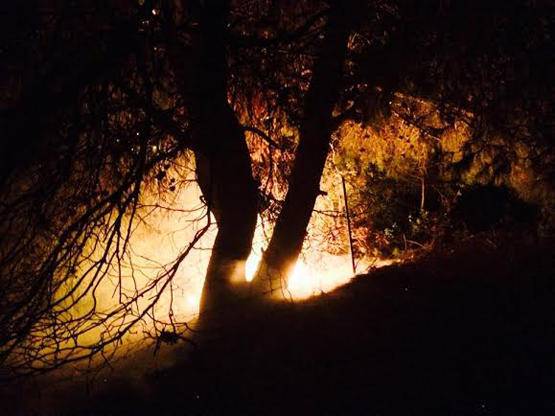 85 حريق حرجي في 24 ساعة