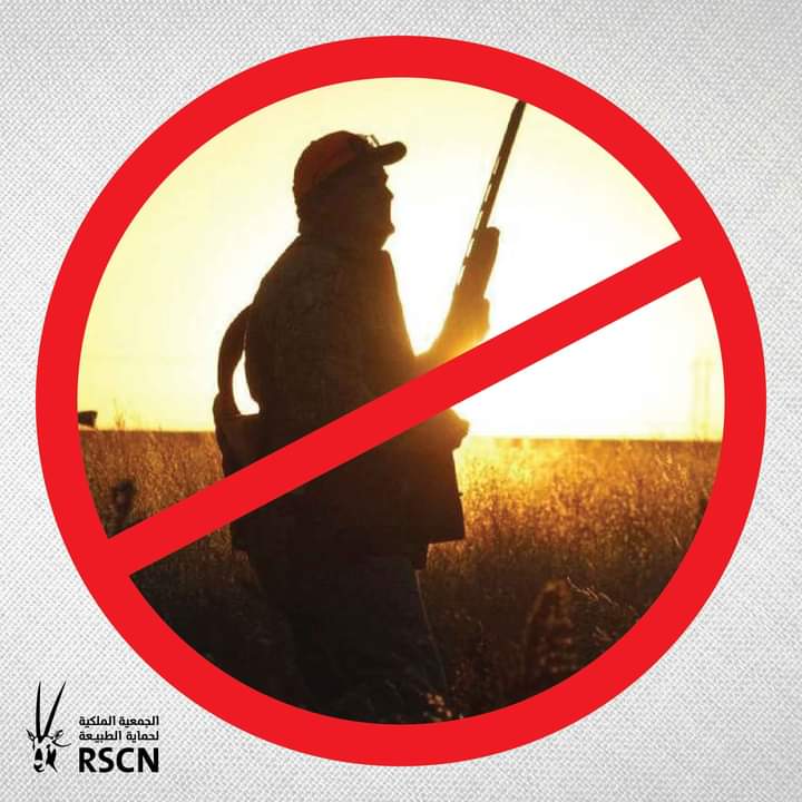 وقف الصيد حتى نهاية هذا العام