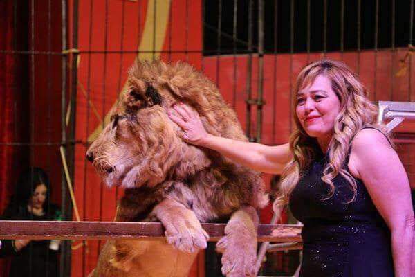 فاتن الحلو تجري عملية جراحية والمقربين يطلبون دعوات محبيها