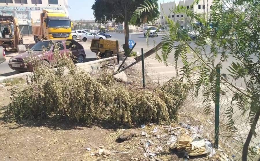 حديقة لامانة عمان بلا رعاية او خدمات في خريبة السوق.