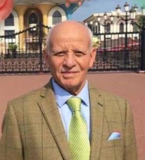 طائر النورس وبائع السمك