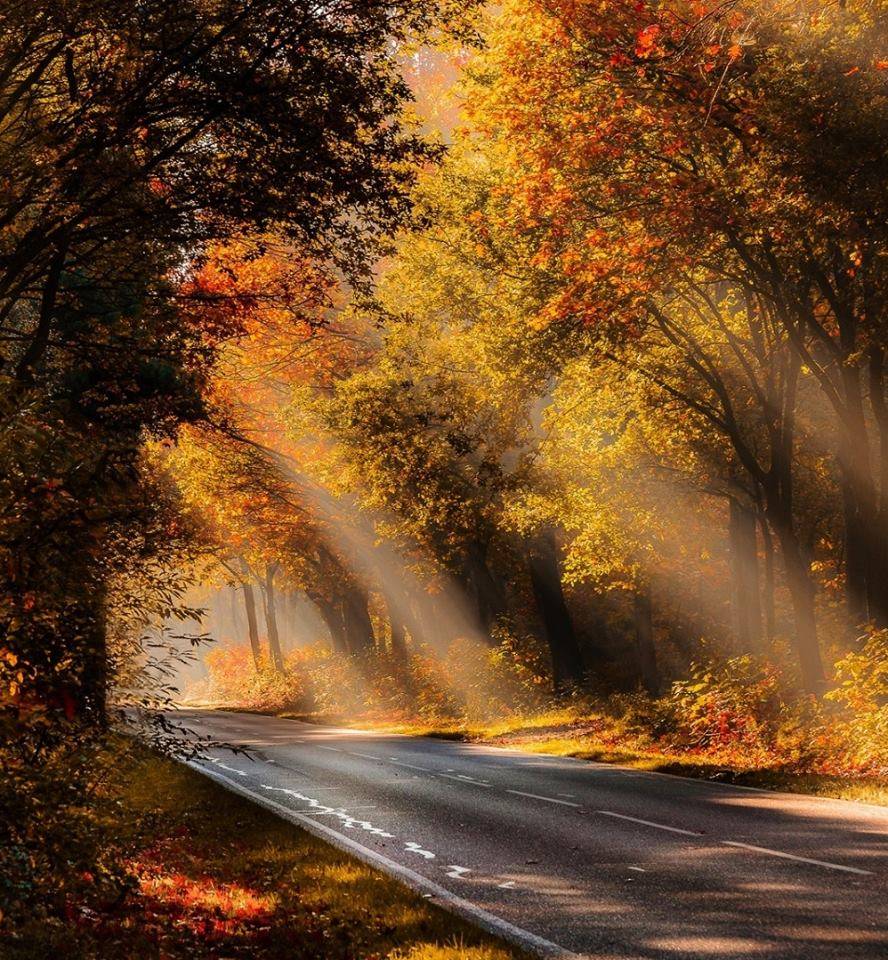 الثلاثاء .. انخفاض على الحرارة