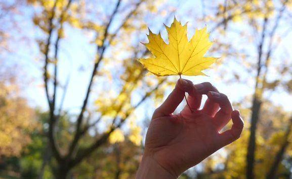 الأربعاء : الحرارة تنخفض وطقس خريفي معتدل