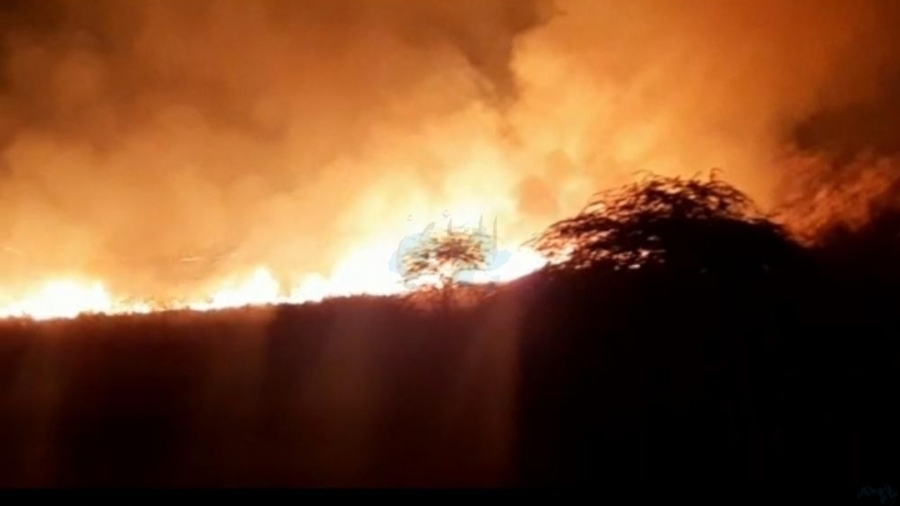 حريق ضخم في منطقة سد شرحبيل