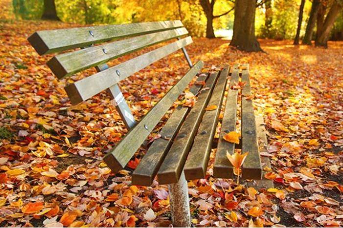 الطقس الخريفي المعتدل مستمر