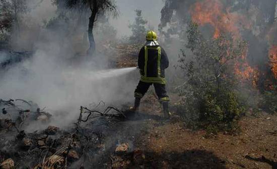 إخماد حريق أتى على عشرات الدونمات في إربد