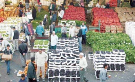 وزير الزراعة: أسعار الخضار ضمن معدلاتها