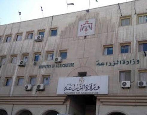 وزير الزراعة : سنطور محطة وهيدة