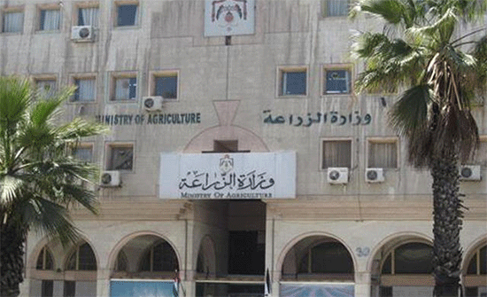 الزراعة ترفع حالة الاستعداد لمواجهة الجراد