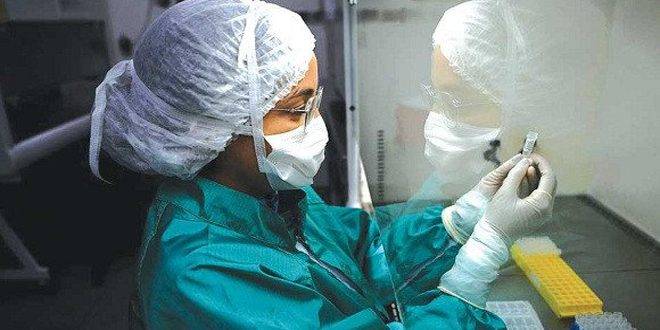 أربع وفيات و230 إصابة جديدة بفيروس كورونا في الجزائر