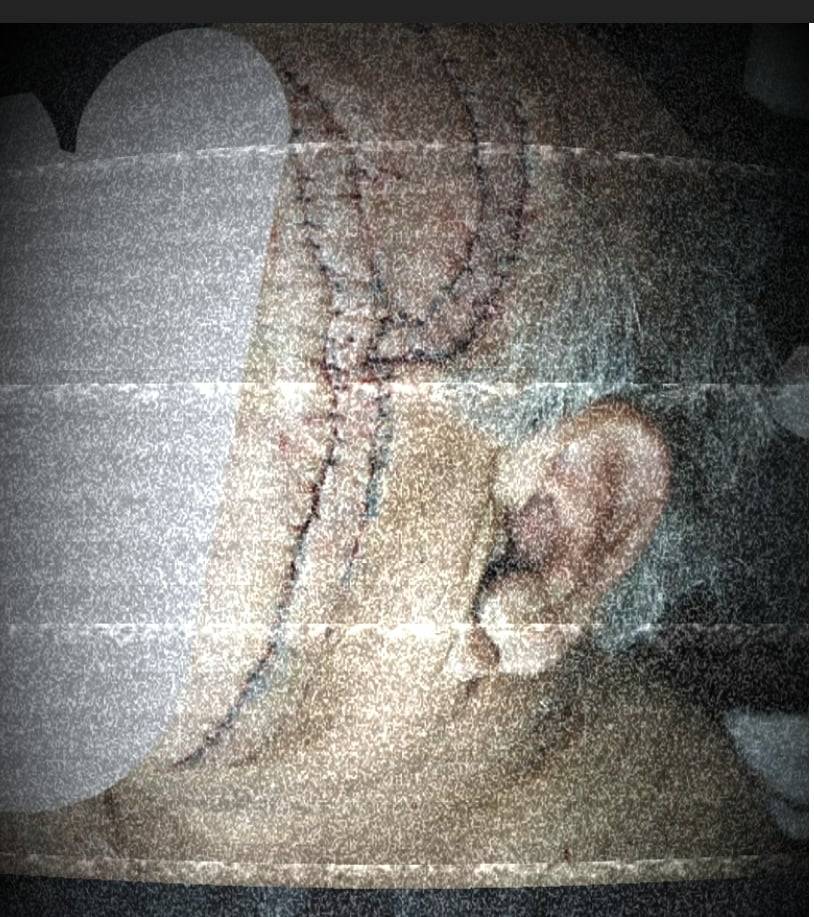 الاجهزة الامنية تلقي القبض على شخص اعتدى على ستيني في اربد