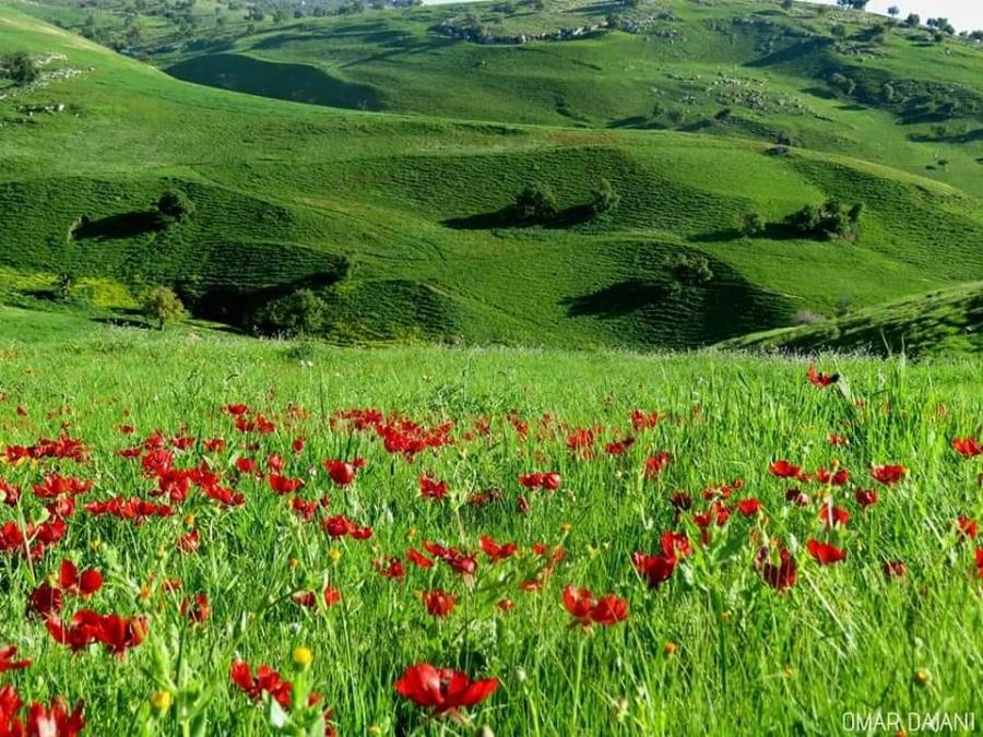 تمكين لتنمية السياحة المستدامة (TASUTD)