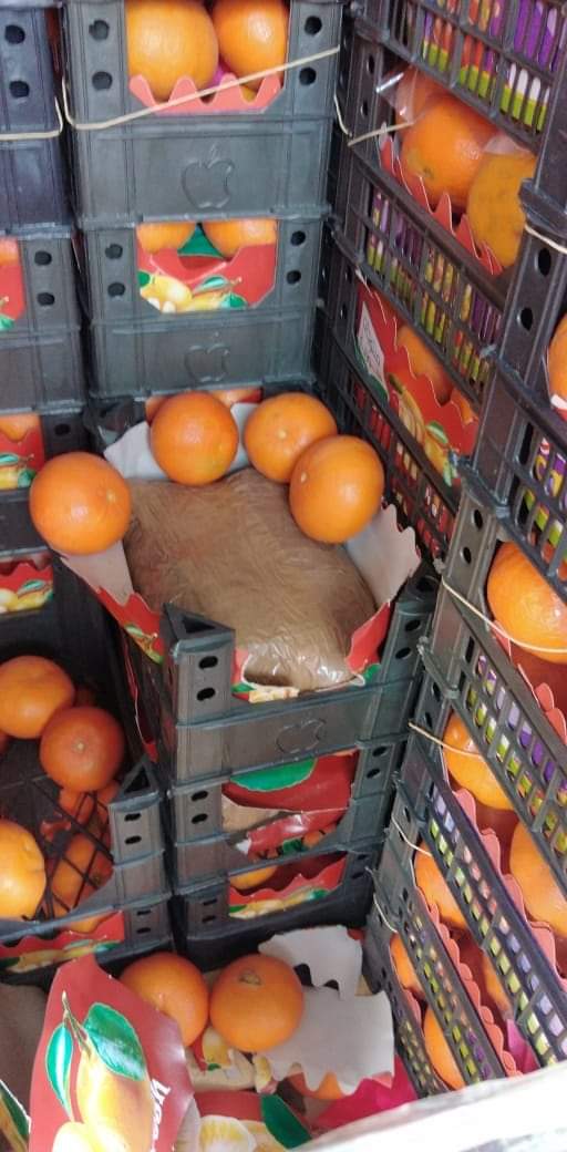 الجمارك والأجهزة الأمنية تحبط تهريب ١٠٩ كغم من حبوب الكبتاغون