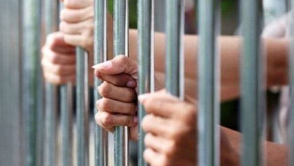 جنايات عمان||تحكم على متهمين في قضية التجارة وبيع زيت الزيتون بالحبس ثلاثة اشهر