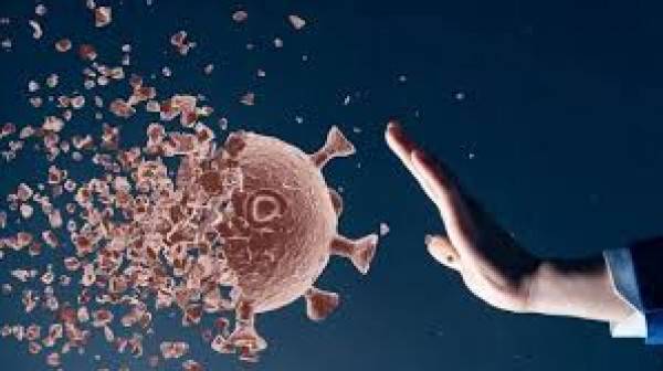 العلماء يحذرون من جائحة أشبه بالموت الأسود