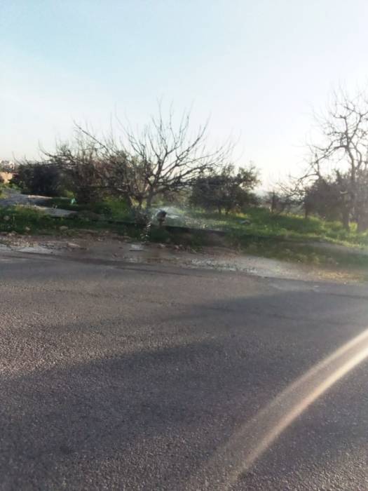 ماسورة  مكسورة  يتدفق  منها  الماء  في بلدة ام الجدايل بمحافظة اربد