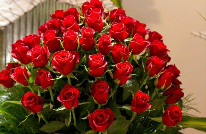 عيد الحب يضاعف أسعار الورد في الأردن