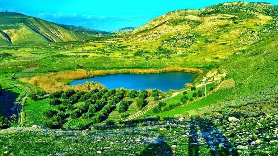 بركة العرائس تنوع حيوي فريد  تضفي سحرا طبيعيا في الركن الشمالي الغربي من الاردن .