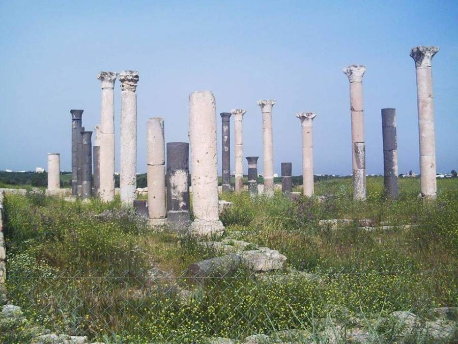 سمبوزيوم فني ثقافي في ابيلا الاثرية برعاية الشراري غدا السبت