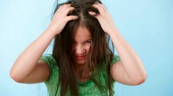 كيف تستخدم زيت شجرة الشاي للتخلص من قمل الشعر