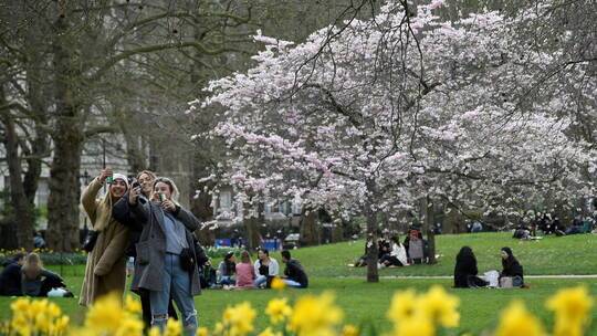 بريطانيا.. 23 وفاة و4654 إصابة جديدة بكورونا